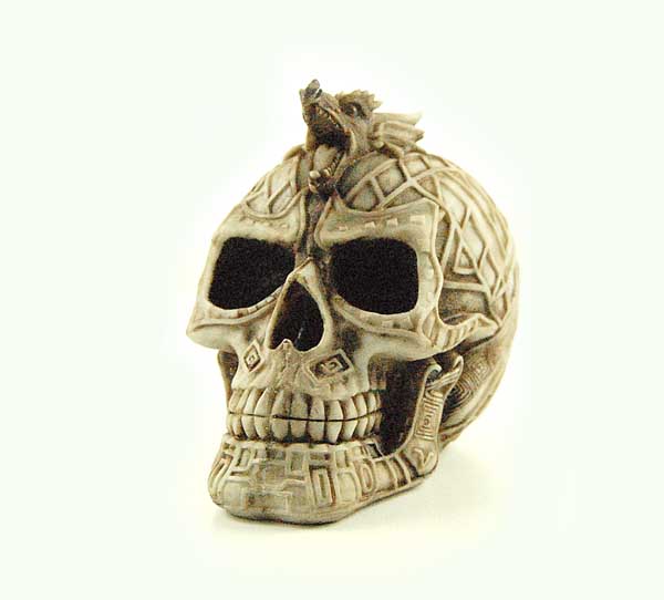 Skull Ivory With Dragon Head