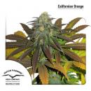 California Orange 5Pk