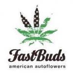 FastBuds