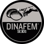DINAFEM