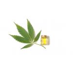 CBD Oils