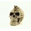 Skull Ivory With Dragon Head