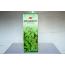 Incence Stick, Spearmint
